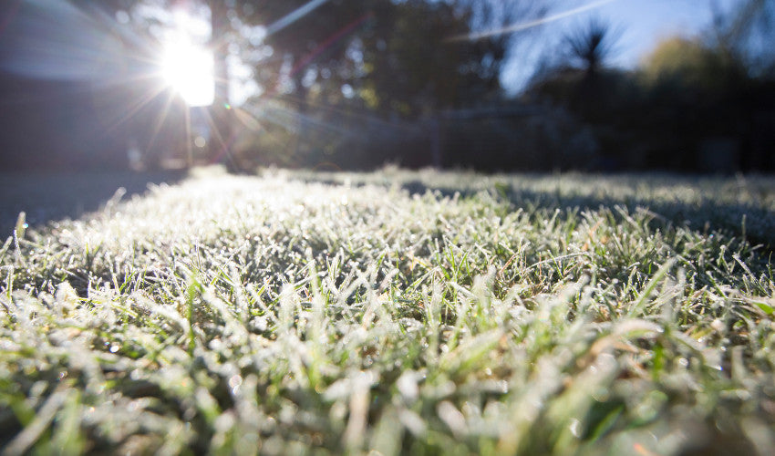 winter lawn dressing Six Top Winter Lawn Care Tips in Georgia