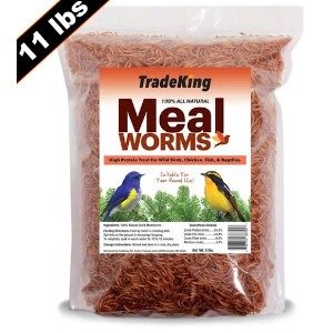 TradeKing Dried Mealworms (5 Lbs)