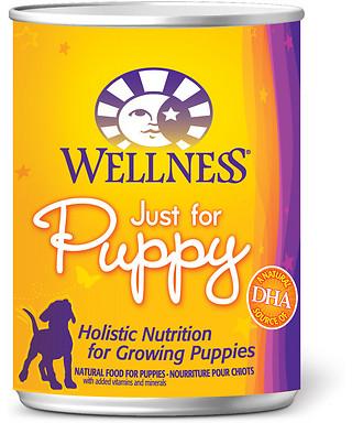 Wellness Complete Health Natural Just for Puppy Chicken and Salmon Recipe  Wet Canned Dog Food - Westerly, RI