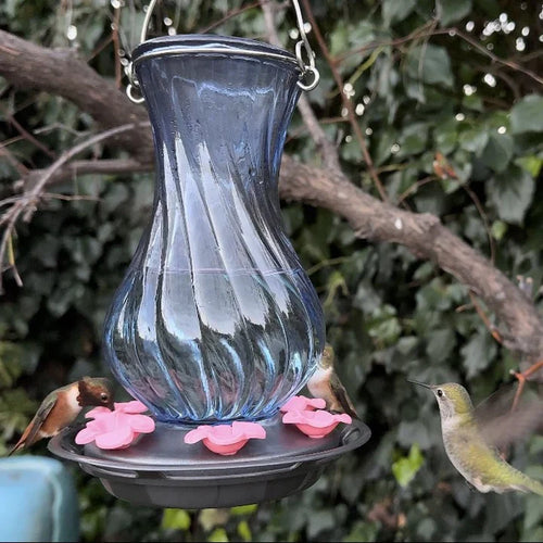 Nature's Way Bird Products Perfect Pitcher Antique Glass Gravity Hummingbird Feeder