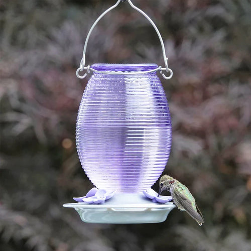 Nature's Way Bird Products Lilac Dreams Antique Glass Gravity Hummingbird Feeder