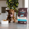 Wellness CORE Digestive Health Whitefish & Brown Rice Dry Dog Food