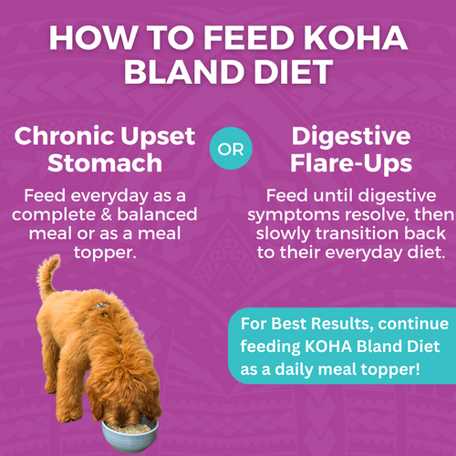 Koha Limited Ingredient Bland Diet Beef & White Rice Recipe for Dogs (12.5 oz)