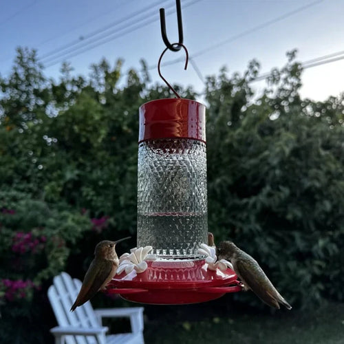 Nature's Way Bird Products Charming Cherry Gravity Hummingbird Feeder