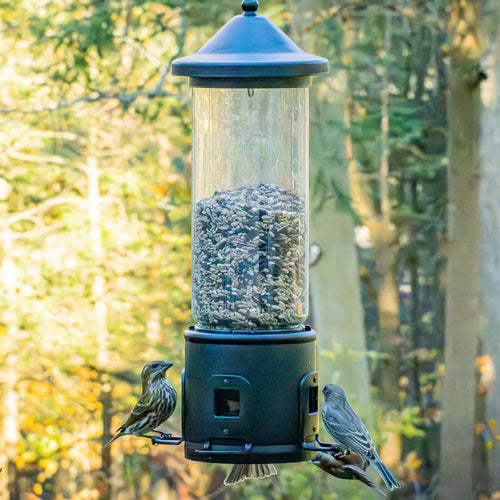 Nature's Way Squirrel Shield Choice Tube Feeder