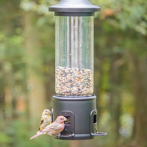 Nature's Way Squirrel Shield Choice Tube Feeder