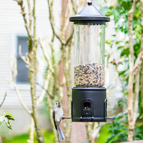 Nature's Way Squirrel Shield Choice Tube Feeder