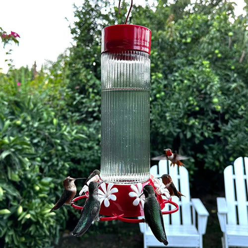 Nature's Way Bird Products Ribbed Rose Gravity Hummingbird Feeder