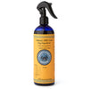 Nantucket Spider Original Natural Bug Repellent For People