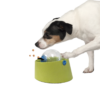 Ethical Pet Seek-A-Treat Puzzle Ball Dog Toy