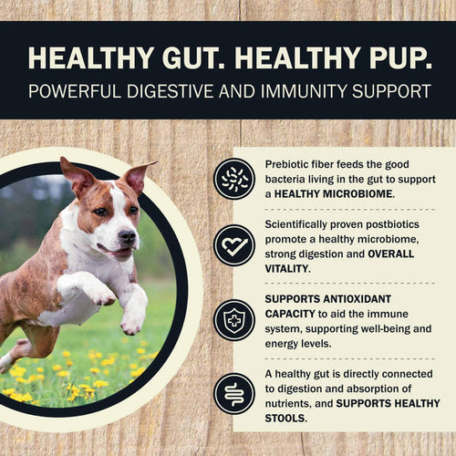 Redbarn Air Dried Powerfood Digestive Health Beef & Lamb Recipe
