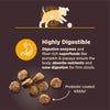 Wellness CORE Digestive Health Puppy Chicken & Brown Rice Dog Food