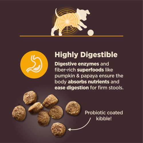 Wellness CORE Digestive Health Puppy Chicken & Brown Rice Dog Food