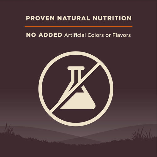 Wellness CORE Grain Free Small Breed Turkey Recipe Dog Food