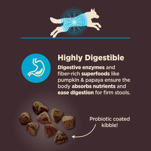 Wellness CORE Digestive Health Whitefish & Brown Rice Dry Dog Food