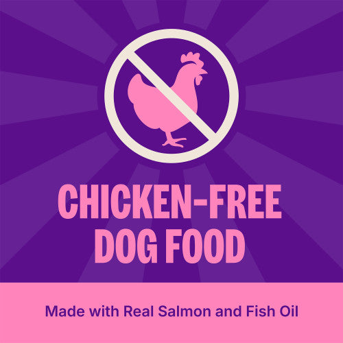 Wellness Complete Health Grain Sensitive Skin & Stomach Salmon & Rice Recipe Dry Dog Food