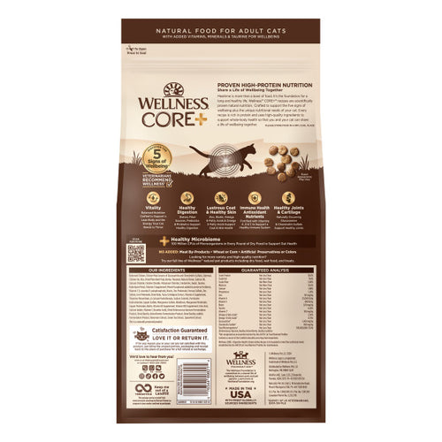 Wellness CORE+ Digestive Health Chicken & Rice Dry Cat Food