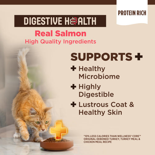 Wellness CORE® Digestive Health with Wholesome Grains Salmon & Rice Dry Cat Food