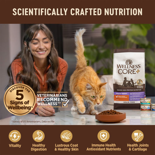 Wellness CORE® Digestive Health with Wholesome Grains Salmon & Rice Dry Cat Food