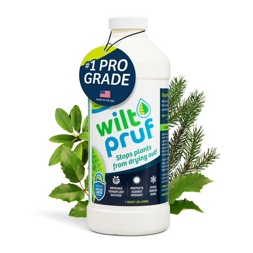Wilt Pruf Concentrate