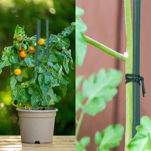 BigTree Garden Stakes 2-6FT Natural Bamboo Plant Stakes