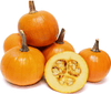 Seedway Baby Pam Pumpkin (Not Treated)