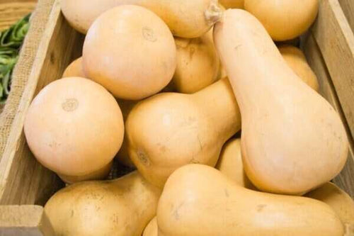 Seedway Waltham Butternut Squash (Organic)